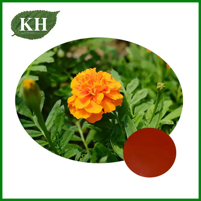 Lutein Oil